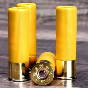 20 Gauge