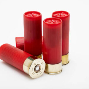 12 Gauge